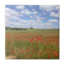 Search for poppy tiles Meadow