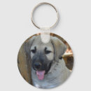 Search for sheep dog keychains Cute