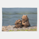 Search for brown bear tea towels Animals in the wild