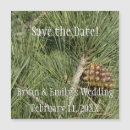 Search for needles invitations Nature
