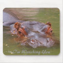 Search for hippo electronics Zoo