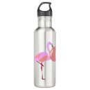 Search for funny flamingo School