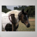 Recherche de barbelé posters Ranch