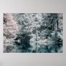 Search for infrared photography Garden