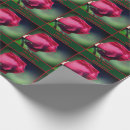 Search for rosebud wrapping paper Flower