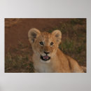 Search for hippo art Lion
