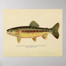 Search for vintage fly fishing art River