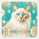 Recherche de de lynx autocollants Chaton