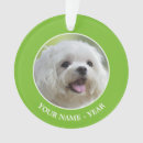 Search for maltese dog ornaments Pets