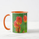 Recherche de gallo tasses Personne