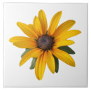 Search for large flower tiles Floral