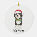 Search for bernedoodle ornaments Sheepadoodle