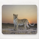 Recherche de intégral tapis souris Contemplation