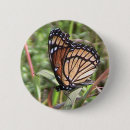 Search for monarchs buttons Wings