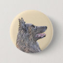 Recherche de belges badges Dog