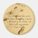 Recherche de coelho Inspiration