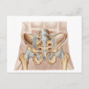 Search for human bones postcards Healthcare