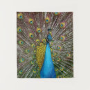 Search for peacock tapestries Turquoise