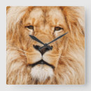 Recherche de lions africains horloges Sauvage