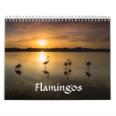 Search for flamingo calendars Exotic