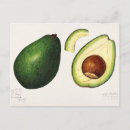 Recherche de avocado cartes postales Vert