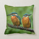 Search for kingfisher pillows Wildlife