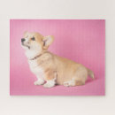 Recherche de corgi puzzles Canine