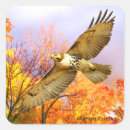 Search for flyers stickers Autumn