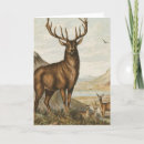 Search for buck deer cards Doe