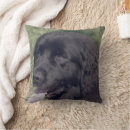 Search for dog face pillows For her