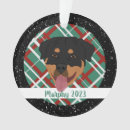 Search for rottie ornaments Rottweiler