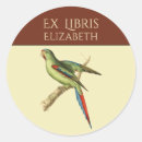 Search for vintage illustration bookplates Bird