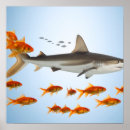 Search for funny fish art Shark