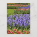 Search for garden designer postcards Green