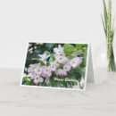 Search for orchid birthday cards Flower