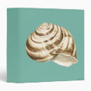 Search for shells binders Nature