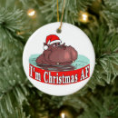 Search for hippopotamus ornaments Hippopotamus for christmas