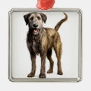 Search for large ornaments Dog