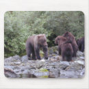 Recherche de ours gris tapis souris Maman