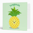Search for pineapple binders Kawaii