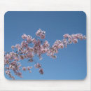 Search for cherry blossom mousepads Nature