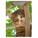 Recherche de chat noir porte blocs Amoureux des chats