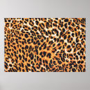 Recherche de pattern posters Animal