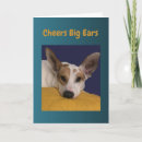 Search for big ears cards Animals