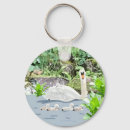 Search for swan keychains Cygnets