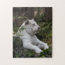 Recherche de sibérie puzzles Nature