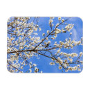 Recherche de floraison magnets Nature