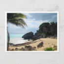 Recherche de roos cartes postales Mexique