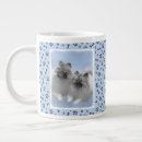 Recherche de pair tasses Peinture