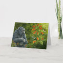 Search for mountain gorillas postcards Endangered